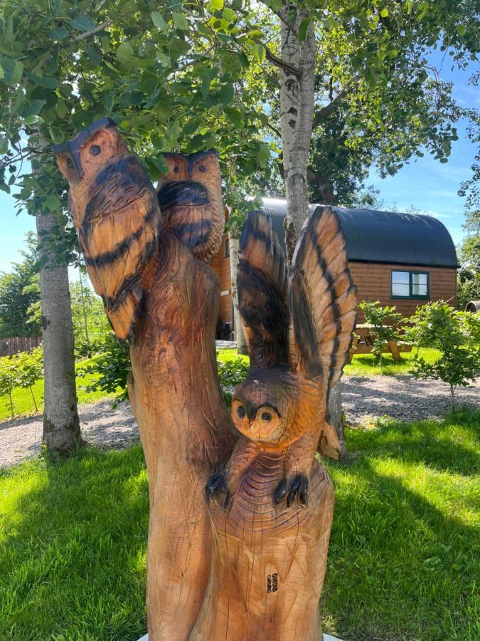 Oakwell Holiday Village Ramelton Exteriér fotografie