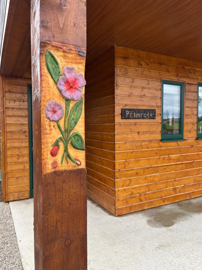 Oakwell Holiday Village Ramelton Exteriér fotografie